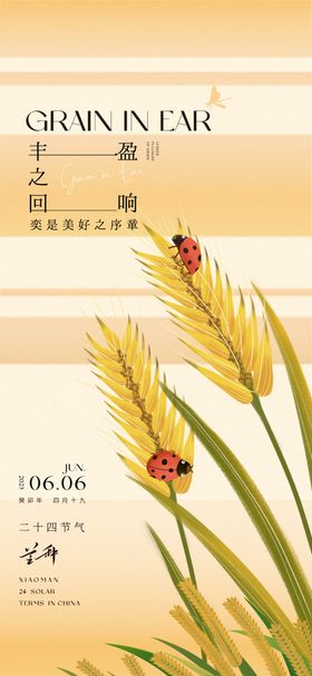 二十四节气 芒种