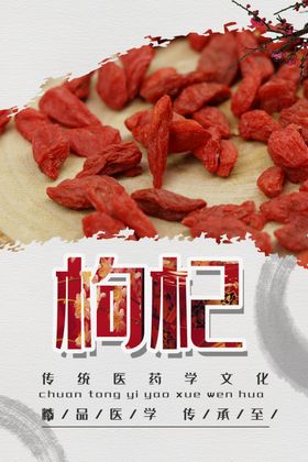 中医文化挂图