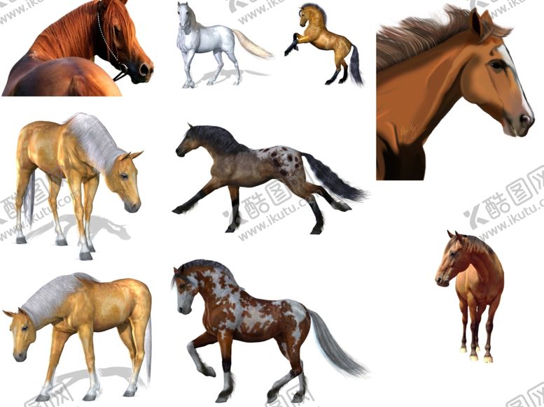 编号：48721609260312366037【酷图网】源文件下载-马png免扣高清素材