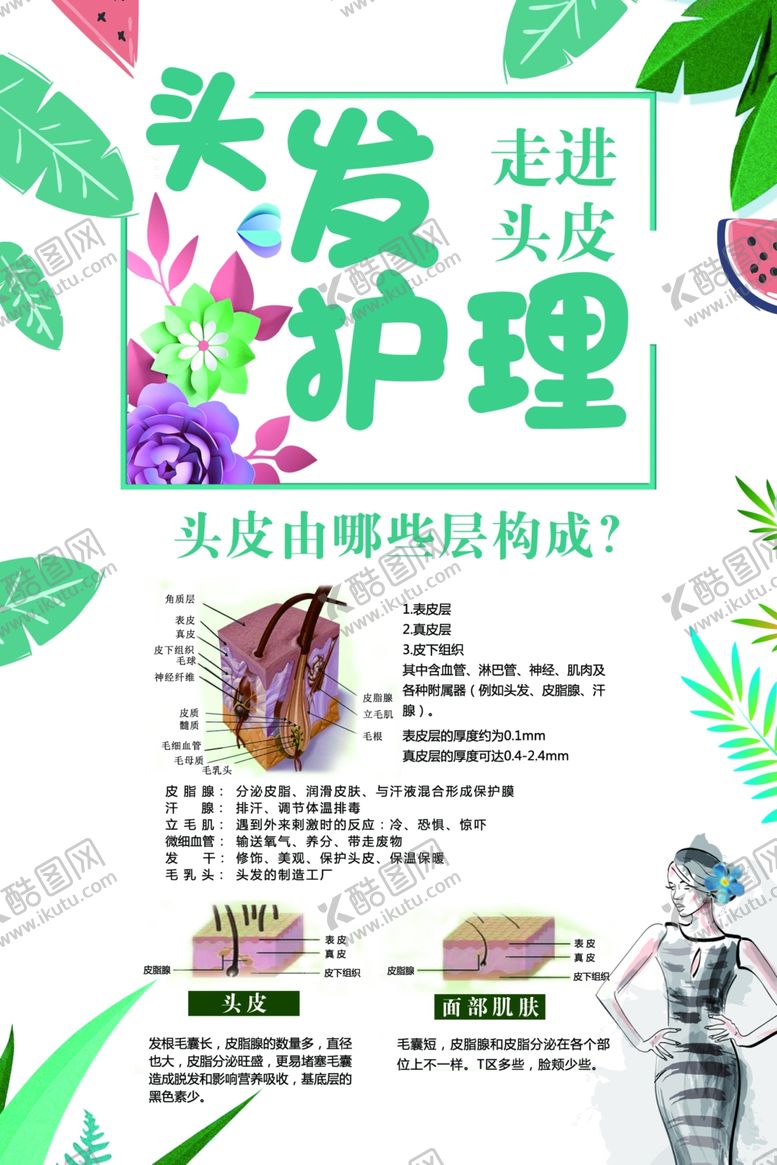 编号：52655810181414015583【酷图网】源文件下载-头发护理
