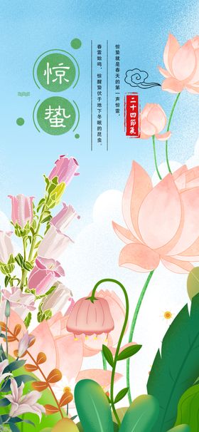 清新荷花绽放美景