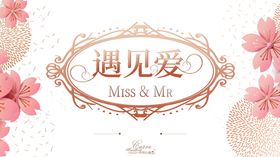 遇见爱