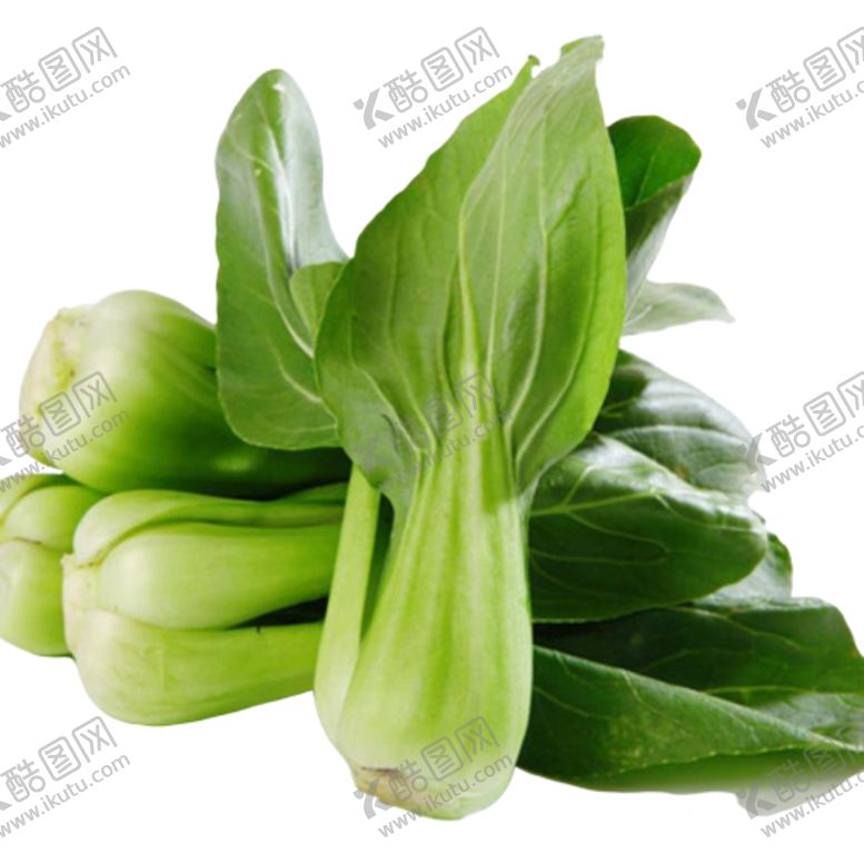 编号：30956905182153005825【酷图网】源文件下载-蔬菜
