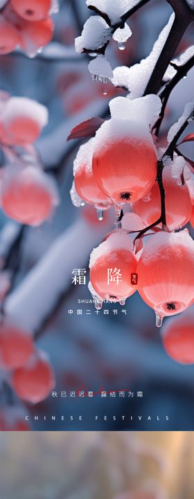 霜降节气海报