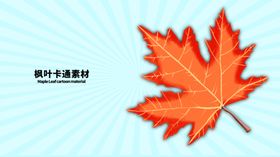 分层蓝色放射左右枫叶手绘素材