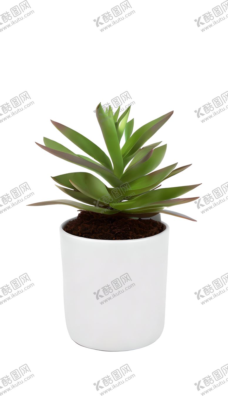 编号：53390901210951565965【酷图网】源文件下载-多肉盆栽植物免抠元素