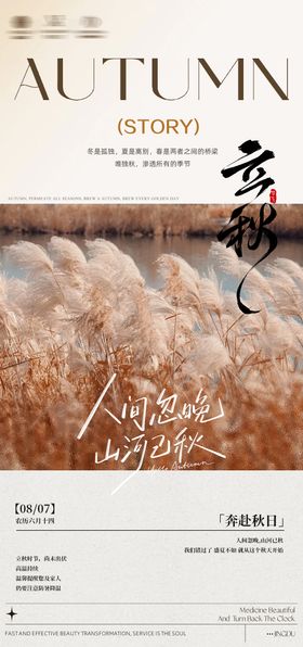 立秋节庆海报