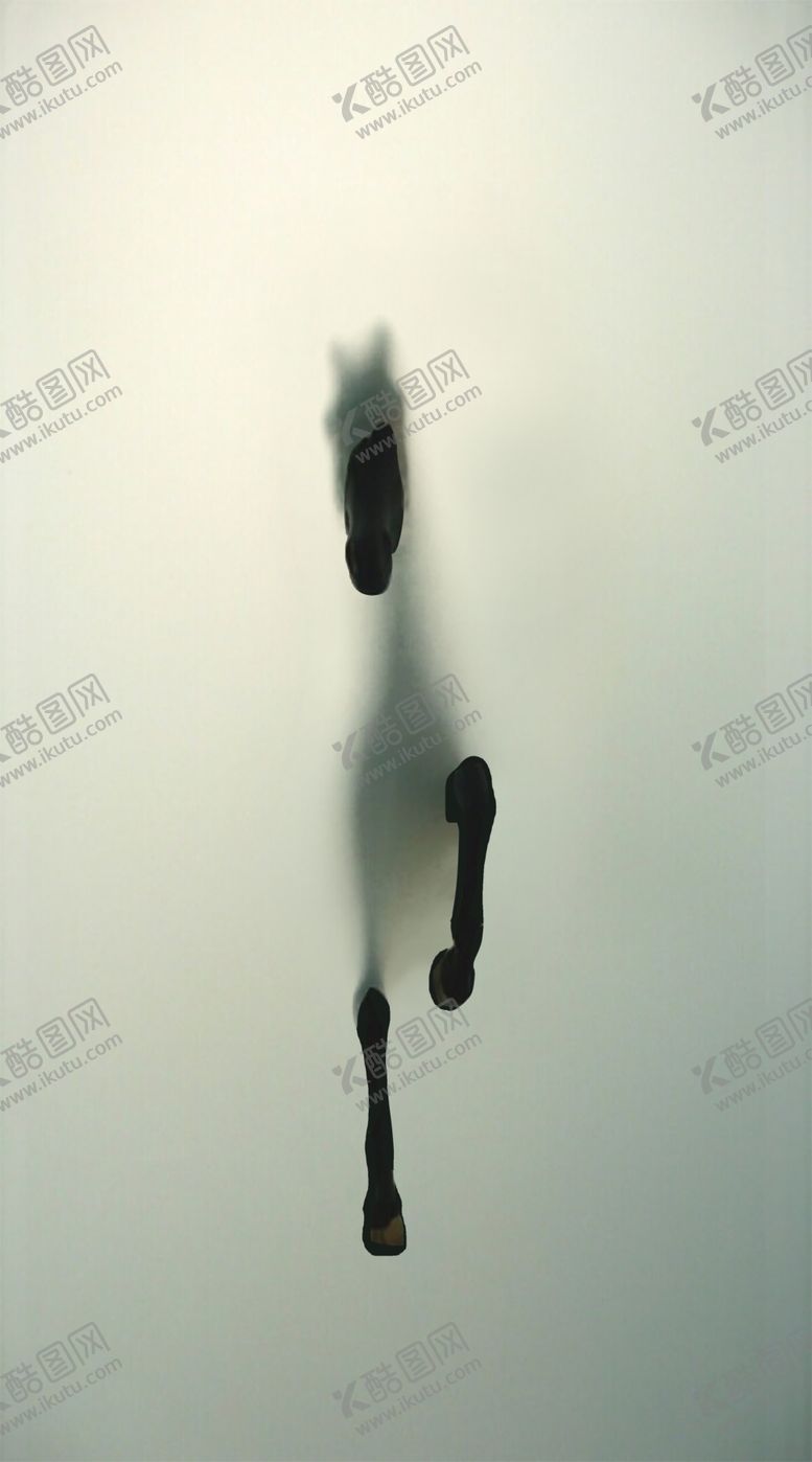 编号：60340207140033326175【酷图网】源文件下载-磨砂动物艺术玻璃