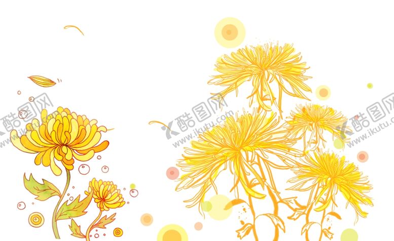 编号：78884706260434115516【酷图网】源文件下载-菊花
