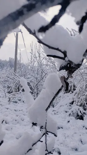 雪景