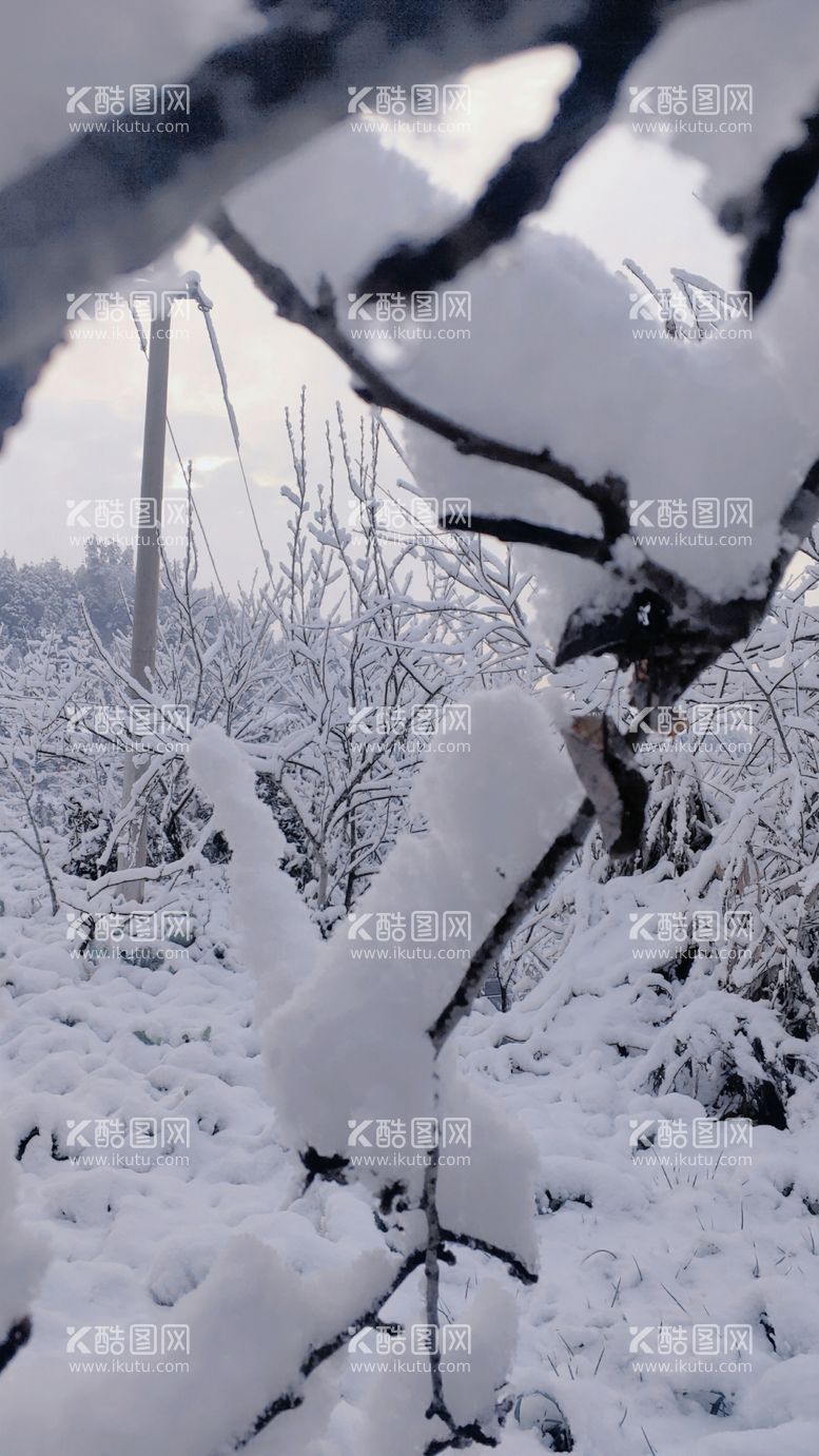 编号：87335012201736265568【酷图网】源文件下载-雪景