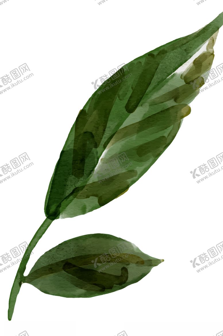 编号：68898009211706333487【酷图网】源文件下载-水彩创意花朵植物