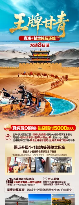 甘青海报
