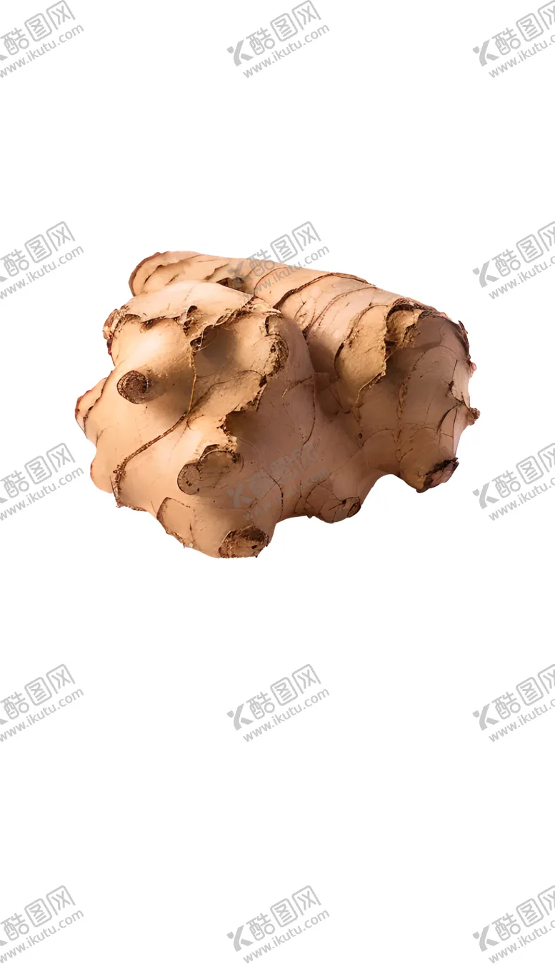 编号：63946802080110416616【酷图网】源文件下载-生姜老姜蔬菜调料药材仔姜免抠
