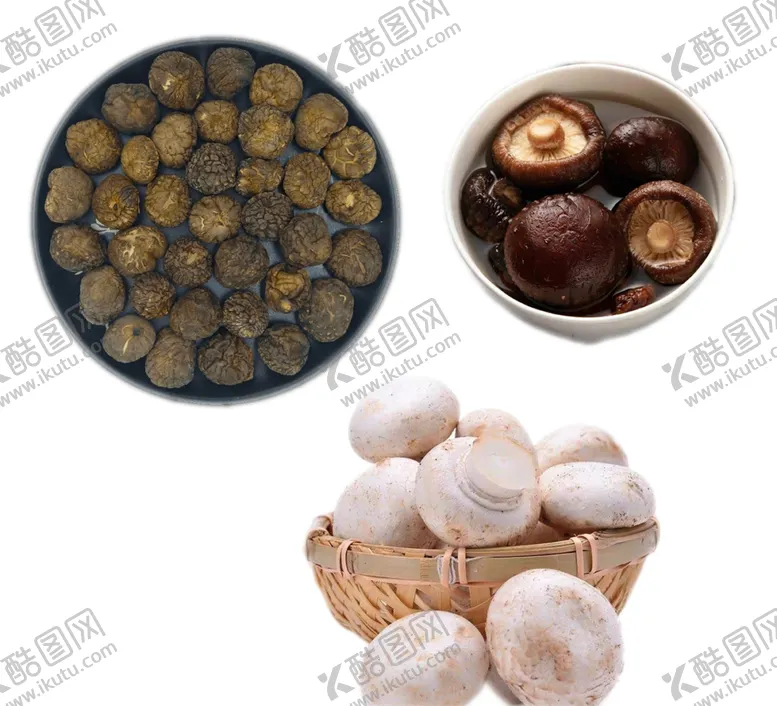 编号：73498204231844552635【酷图网】源文件下载-香菇蘑菇