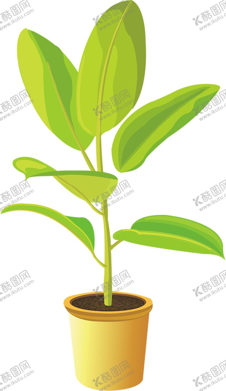 编号：89221810101927297558【酷图网】源文件下载-绿色相框