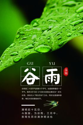 谷雨