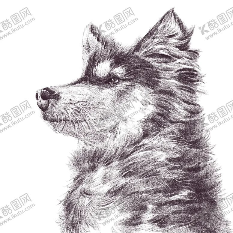 编号：64503109211100476580【酷图网】源文件下载-素描海报 头像