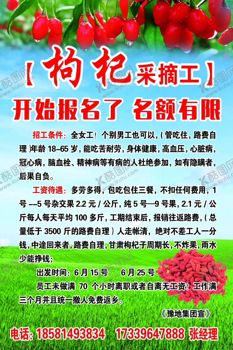 编号：72815104280646359214【酷图网】源文件下载-枸杞采摘工