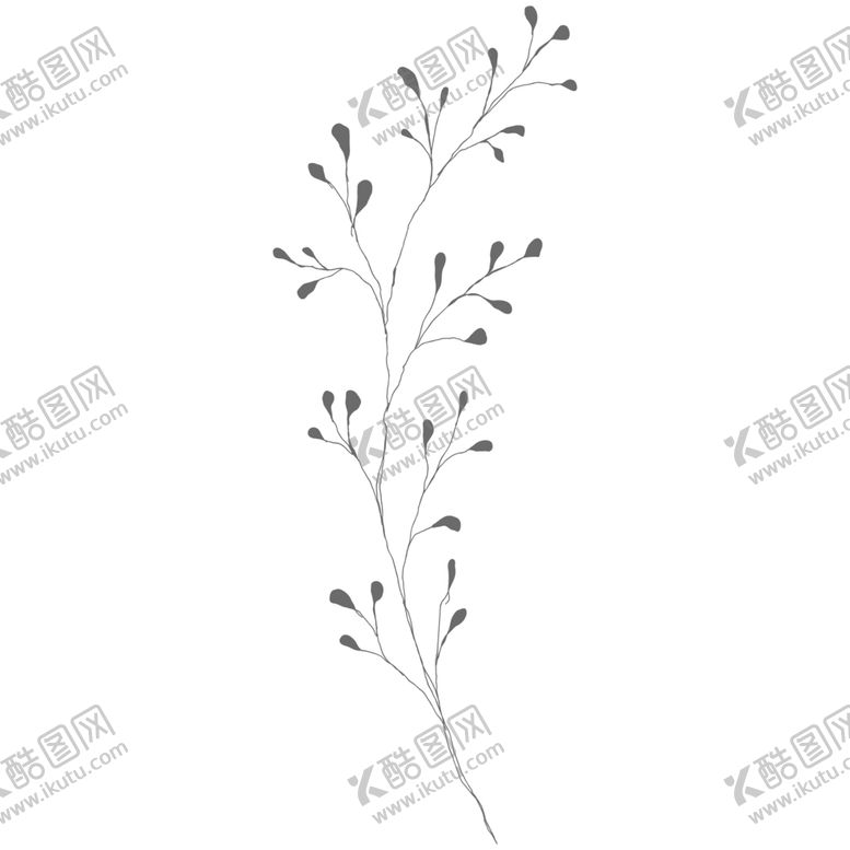 编号：65757710220805478657【酷图网】源文件下载-手绘花藤花纹