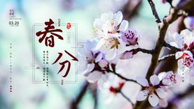 古风春分节气展板