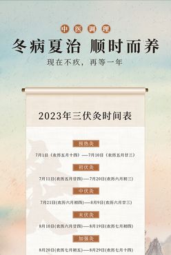 三伏灸时间表手绘创意