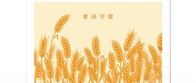 彩绘麦田麦穗
