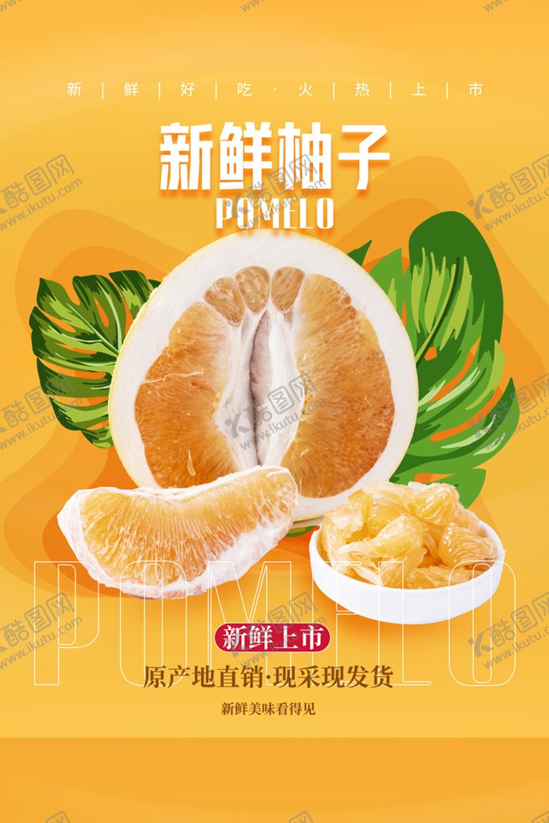 编号：95672310061244569564【酷图网】源文件下载-柚子海报