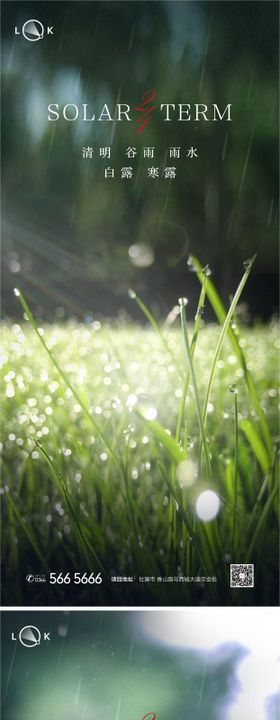 谷雨雨水清明白露寒露芒种系列海报