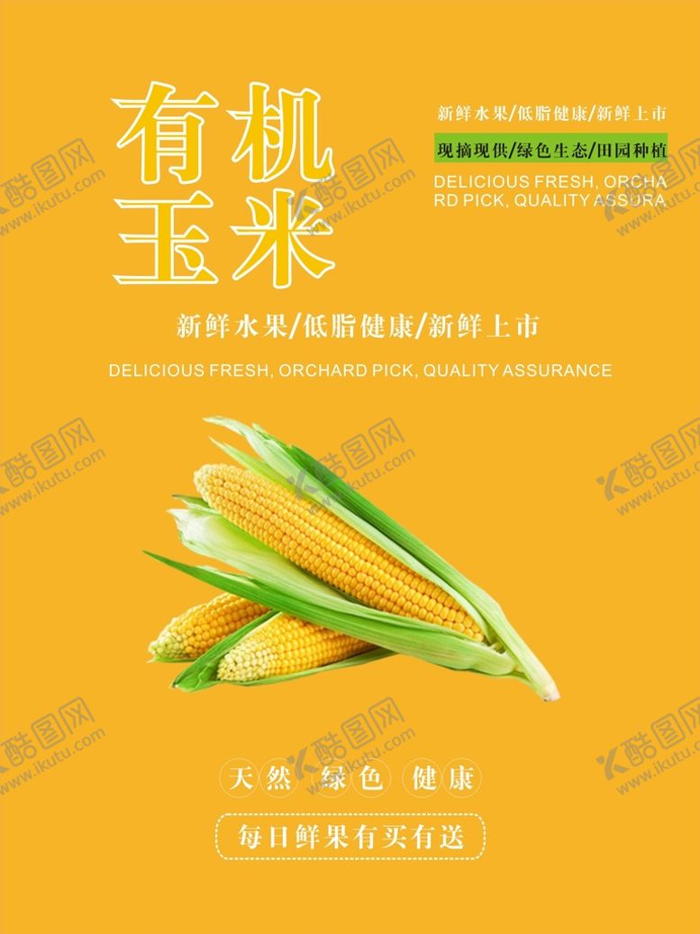 编号：42223710240746306934【酷图网】源文件下载-玉米海报