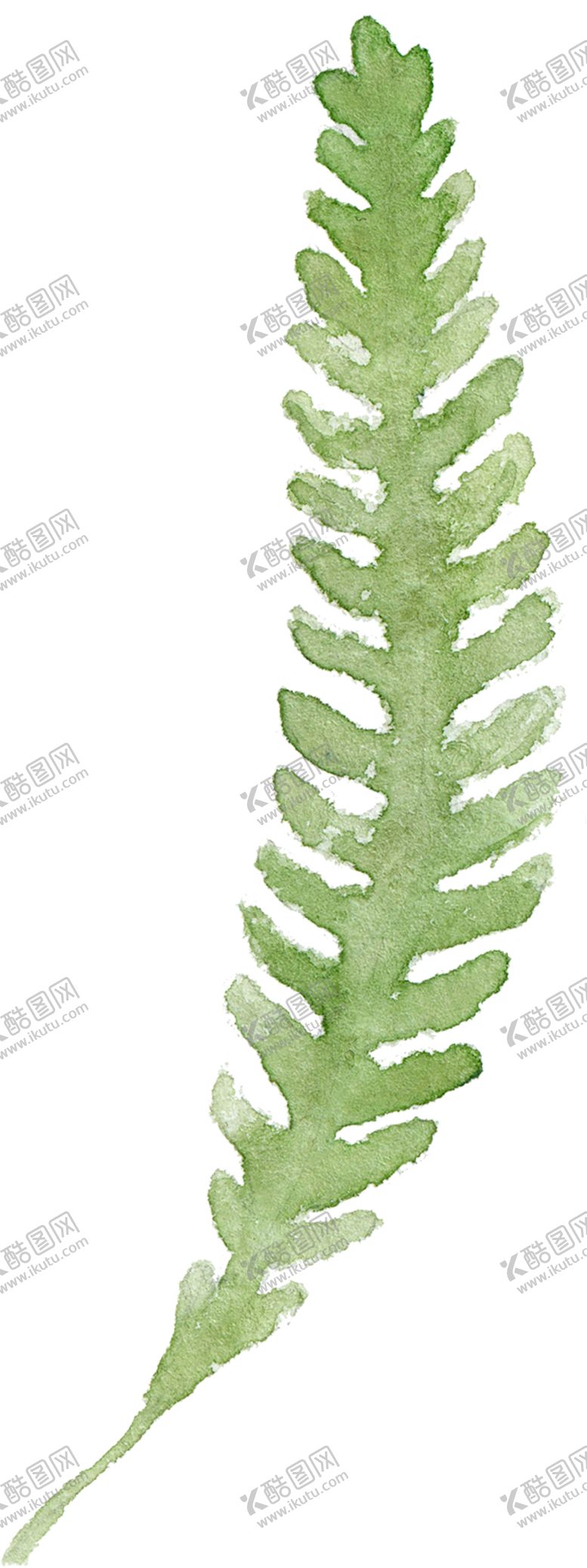 编号：17483910061737559827【酷图网】源文件下载-绿色装饰