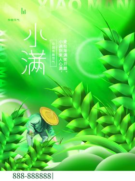 小满单图推广壁纸节日