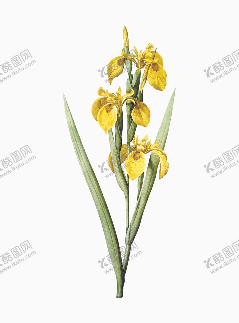 编号：63966710312347002262【酷图网】源文件下载-花纹