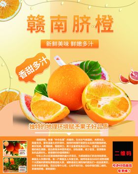 脐橙海报