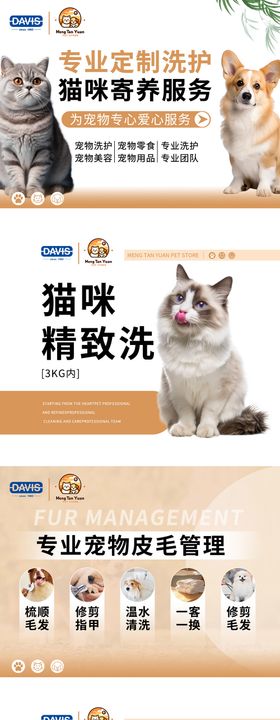 洗护banner