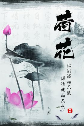 荷花莲装饰画水墨
