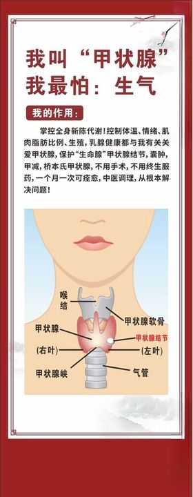 甲状腺健康