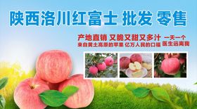 红富士