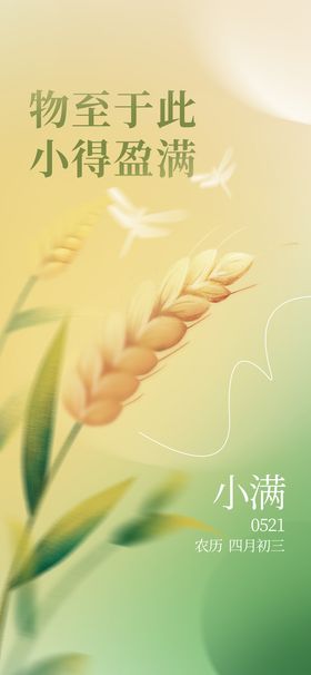 小满海报24节气绿色