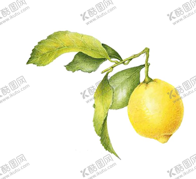 编号：10028509180907352052【酷图网】源文件下载-水果