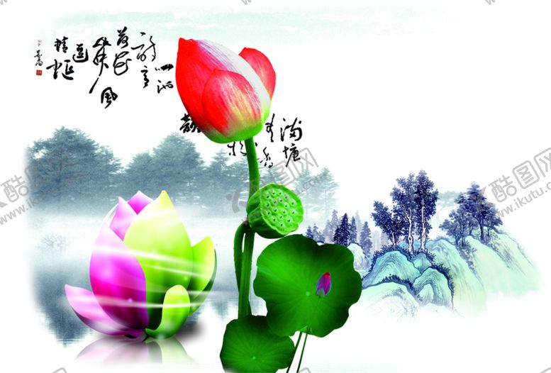 编号：31954106242214176367【酷图网】源文件下载-荷花