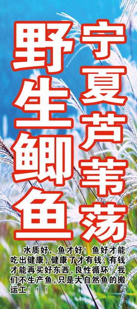 编号：13649809231532432567【酷图网】源文件下载-香脆野生松子