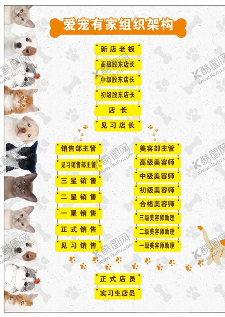 编号：81713905062240142047【酷图网】源文件下载-宠物店版面