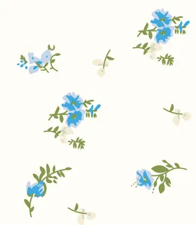 小花碎设计数码