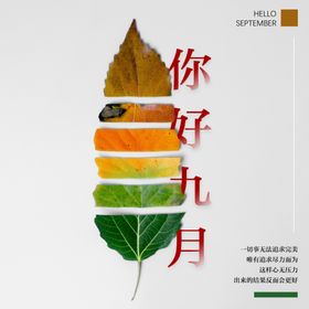 九月你好简约菊花开业海报