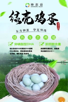 绿壳蛋纸箱