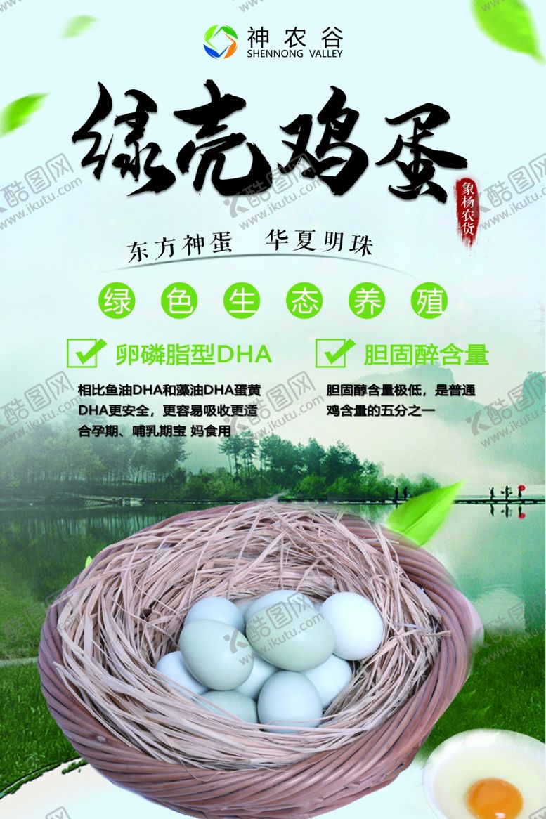 编号：46465510220938326439【酷图网】源文件下载-绿壳鸡蛋