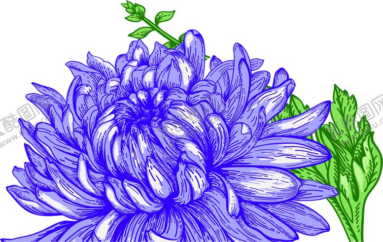 编号：61007809250408026258【酷图网】源文件下载-花素材