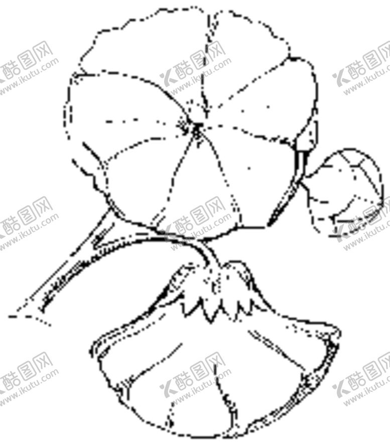 编号：78777006261020193526【酷图网】源文件下载-镂空花图案