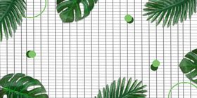 夏季线框清新淡雅背景素材